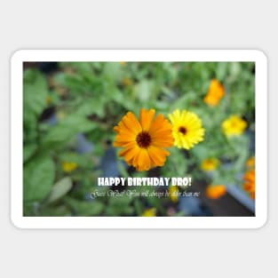 Happy birthday brother greeting Sticker